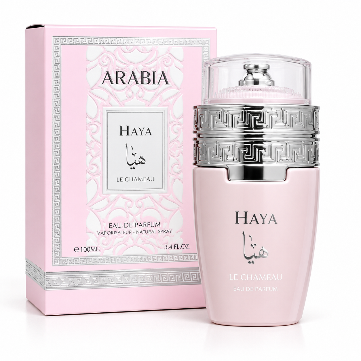 Haya ( Arabia) Le Chameu